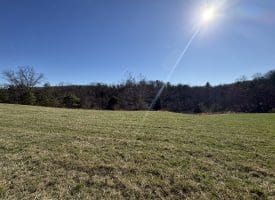 98.43 AC Parker Hollow Rd., Lost River, WV  26810