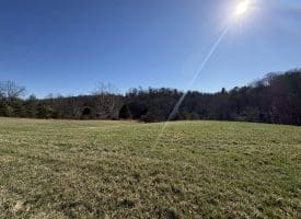 98.43 AC Parker Hollow Rd., Lost River, WV  26810