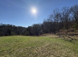 98.43 AC Parker Hollow Rd., Lost River, WV  26810