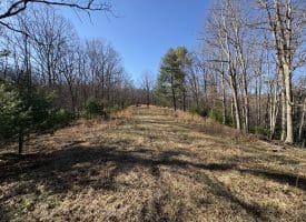 98.43 AC Parker Hollow Rd., Lost River, WV  26810