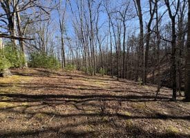 98.43 AC Parker Hollow Rd., Lost River, WV  26810