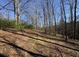 98.43 AC Parker Hollow Rd., Lost River, WV  26810