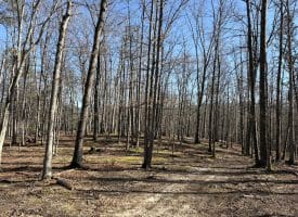 98.43 AC Parker Hollow Rd., Lost River, WV  26810