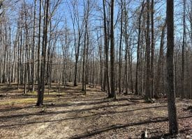 98.43 AC Parker Hollow Rd., Lost River, WV  26810