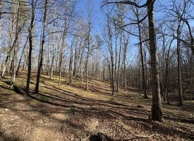 98.43 AC Parker Hollow Rd., Lost River, WV  26810