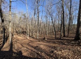 98.43 AC Parker Hollow Rd., Lost River, WV  26810