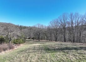 98.43 AC Parker Hollow Rd., Lost River, WV  26810