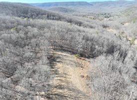 98.43 AC Parker Hollow Rd., Lost River, WV  26810