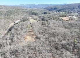 98.43 AC Parker Hollow Rd., Lost River, WV  26810