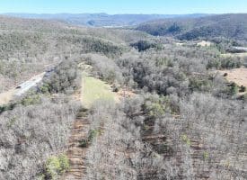 98.43 AC Parker Hollow Rd., Lost River, WV  26810