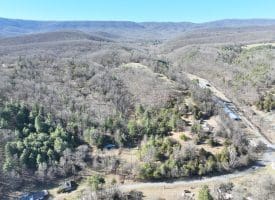 98.43 AC Parker Hollow Rd., Lost River, WV  26810