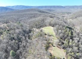98.43 AC Parker Hollow Rd., Lost River, WV  26810