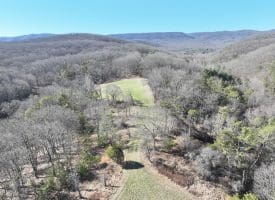 98.43 AC Parker Hollow Rd., Lost River, WV  26810