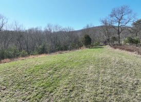 98.43 AC Parker Hollow Rd., Lost River, WV  26810