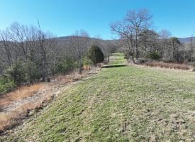 98.43 AC Parker Hollow Rd., Lost River, WV  26810