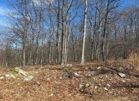 Lot 65 High Mountain View Rd, Romney, WV  26757