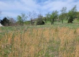 231 Stoney Apple Dr., Romney, WV  26757