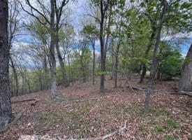 10 AC Moon Ridge Ln, Burlington, WV  26710