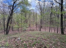 15.02 Ac Bean Rd, Romney, WV  26757