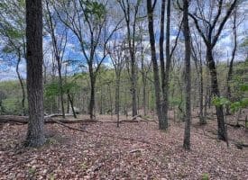 5 Ac Beam Rd., Romney, WV  26757