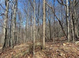 Lot 63 High Mountain View Rd, Romney, WV  26757