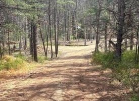 Dillions Run Road, Capon Bridge, WV  26711