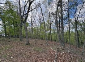 10 AC Moon Ridge Ln, Burlington, WV  26710