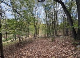 5 Ac Beam Rd., Romney, WV  26757