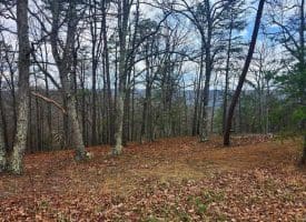 4.73 Ac Brown Cardinal Ridge, Romney, WV  26757