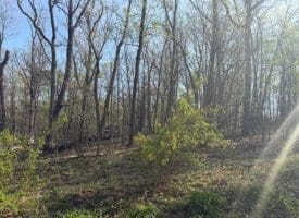 68 Mountain Rd., Augusta, WV  26704