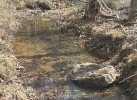 Dillions Run Road, Capon Bridge, WV  26711