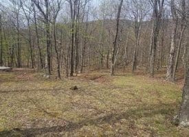 Goldenseal Rd Lot # 46, Maysville, WV  26833