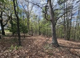 10 AC Moon Ridge Ln, Burlington, WV  26710