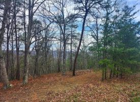 4.73 Ac Brown Cardinal Ridge, Romney, WV  26757