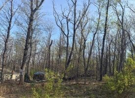 68 Mountain Rd., Augusta, WV  26704