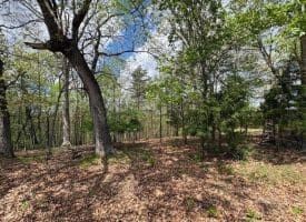 10 AC Moon Ridge Ln, Burlington, WV  26710