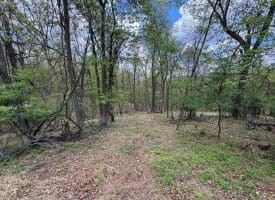 15.02 Ac Bean Rd, Romney, WV  26757