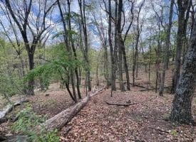 5 Ac Beam Rd., Romney, WV  26757