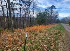 4.73 Ac Brown Cardinal Ridge, Romney, WV  26757