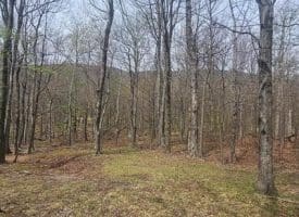 Goldenseal Rd Lot # 46, Maysville, WV  26833