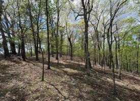 10 AC Moon Ridge Ln, Burlington, WV  26710