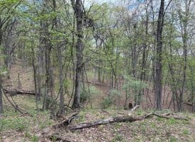 15.02 Ac Bean Rd, Romney, WV  26757