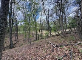 5 Ac Beam Rd., Romney, WV  26757