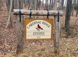 4.73 Ac Brown Cardinal Ridge, Romney, WV  26757