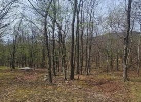 Goldenseal Rd Lot # 46, Maysville, WV  26833