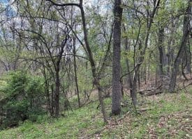 5 Ac Beam Rd., Romney, WV  26757