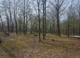 Goldenseal Rd Lot # 46, Maysville, WV  26833