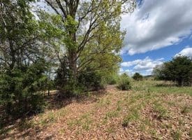 10 AC Moon Ridge Ln, Burlington, WV  26710