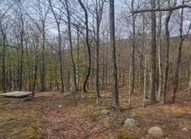 Goldenseal Rd Lot # 46, Maysville, WV  26833