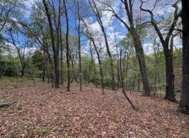 5 Ac Beam Rd., Romney, WV  26757